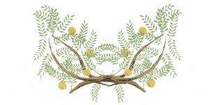 Overlapping, mirrored branches with small leaves and orange fruit, giving the impression of two trees joined, or perhaps antlers.